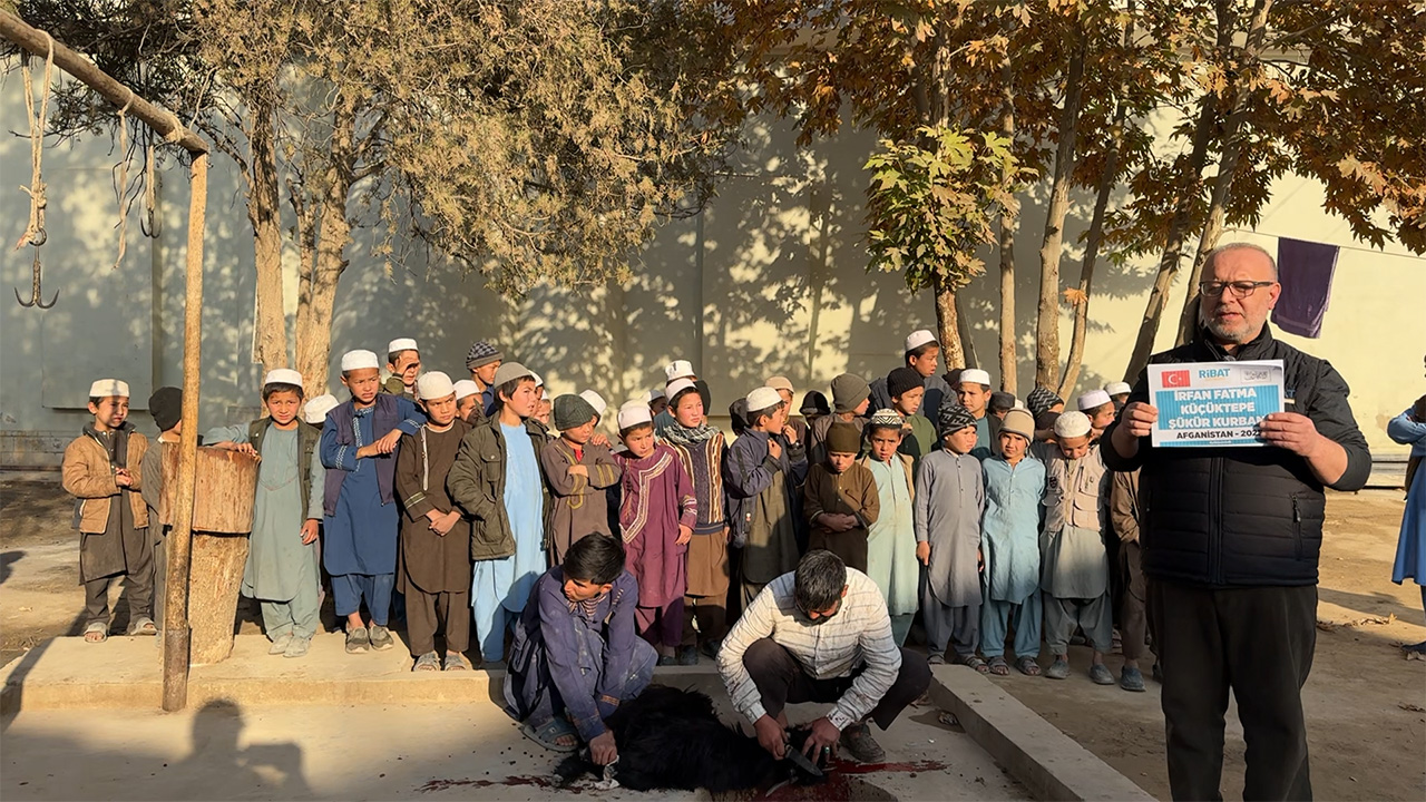 Yurt Dışı Adak, Akika, Şükür Kurbanı Küçükbaş