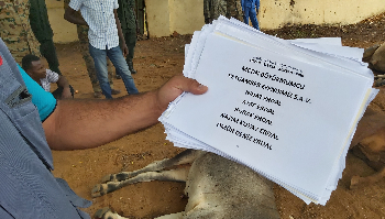 Kurban Hizmetlerimiz